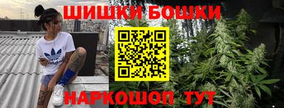 мдпв Жуковский