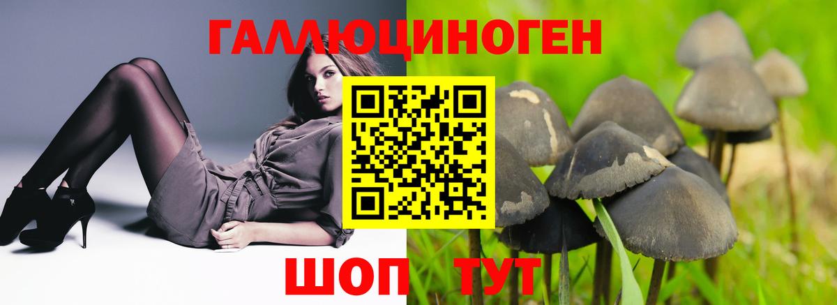 Псилоцибиновые грибы GOLDEN TEACHER Нововоронеж